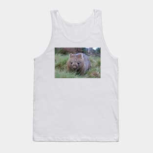 a wombat sitting on top of a grass covered field in tasmania near cradle mountain Tank Top